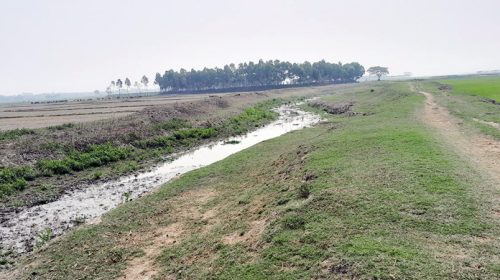 পাঁচ দশকে হারিয়ে গেছে অর্ধেকের বেশি নদী