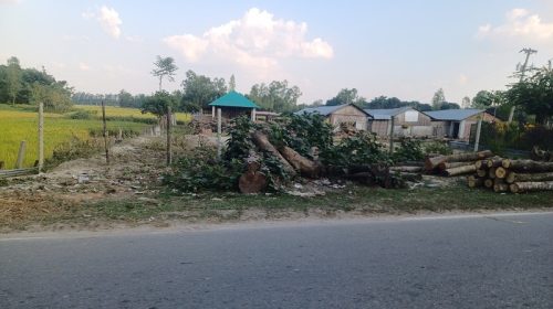 বালিয়াডাঙ্গীতে লাইসেন্সবিহীন করাতকল মালিককে ২০ হাজার টাকা জরিমানা