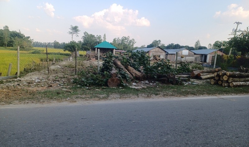 বালিয়াডাঙ্গীতে লাইসেন্সবিহীন করাতকল মালিককে ২০ হাজার টাকা জরিমানা