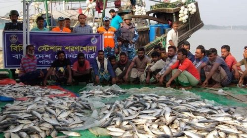 মোরেলগঞ্জে ১২০০ কেজি জাটকা ইলিশ জব্দ, ১০ জেলেকে জরিমানা