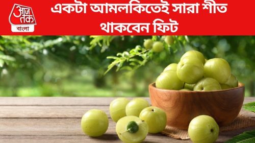 শীতে একটি আমলকি 'মিরাকল' ঘটায়, কিন্তু কখন ও কীভাবে খেলে? আয়ুর্বেদশাস্ত্রের নিয়মটি জানুন